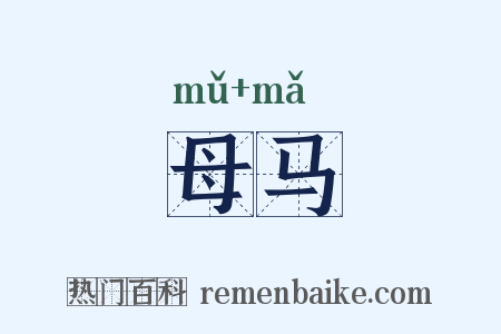 母马是什么意思的图片